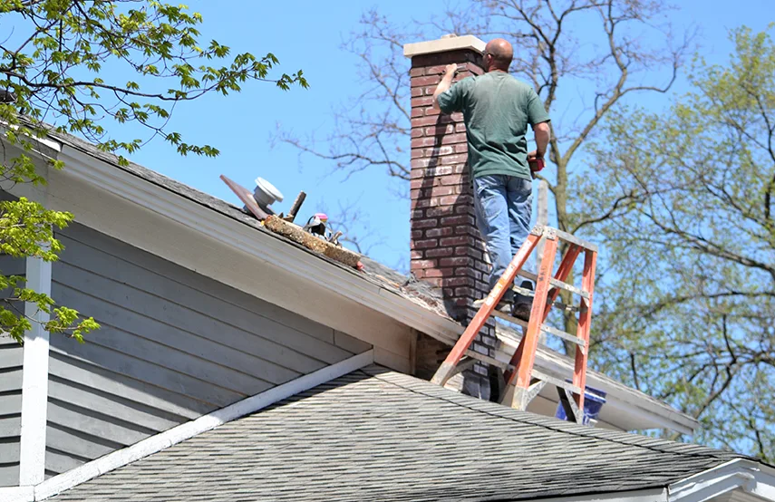 Chimney & Fireplace Inspections Services in Palestine, TX